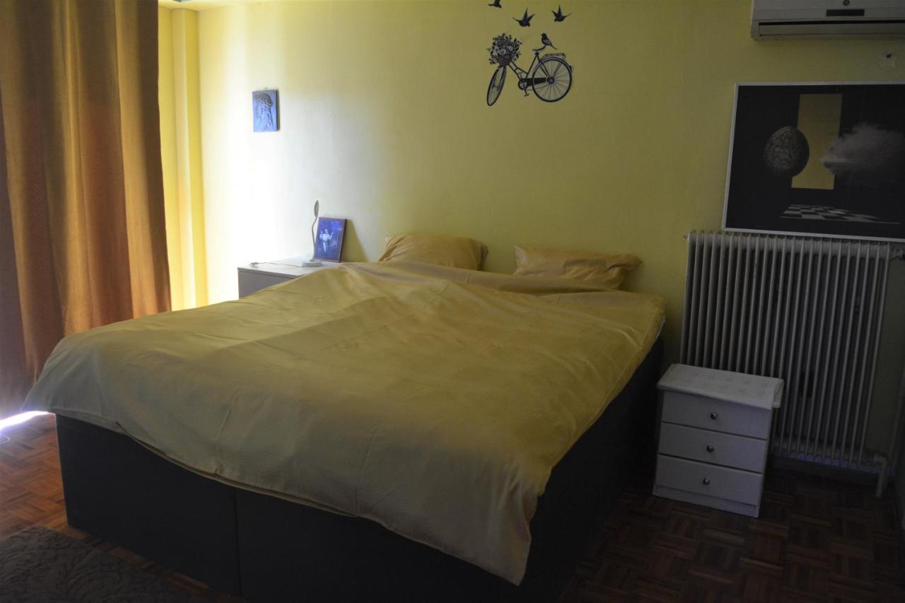 Spacious Apartment With Balconies, Ac, King Bed, Near Dt And Transports Афины Экстерьер фото